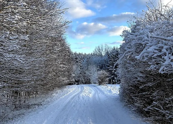 Apartmán Teddis Traubing
