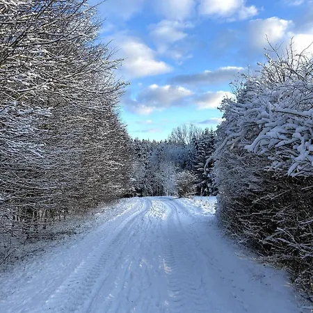 Apartament Teddis Traubing