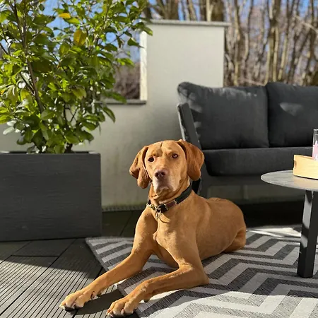 Teddis Traubing Apartament *